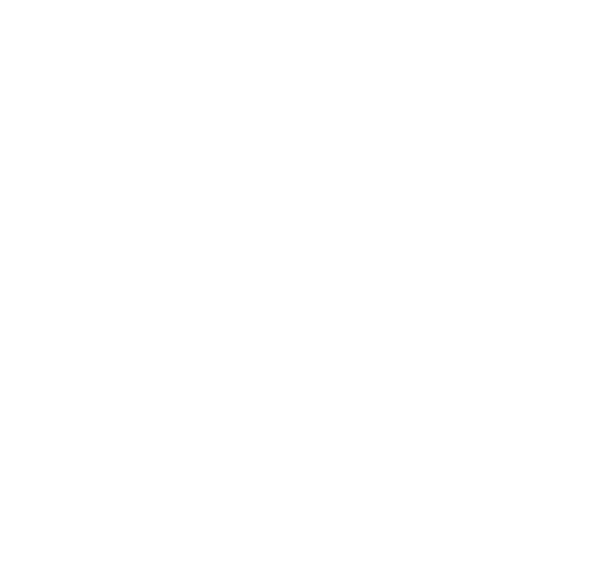 Logo de Alma21, cremación directa